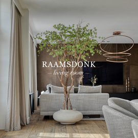 Interieurontwerp Living Room