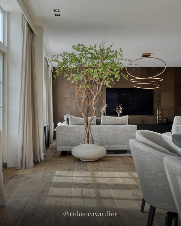 Nieuwsgierigheid En Harmonie Combineren